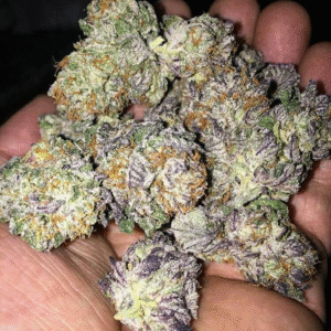 Nerds Strain