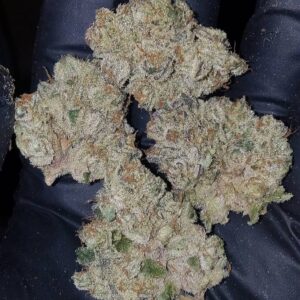 Do Si Dos Strain