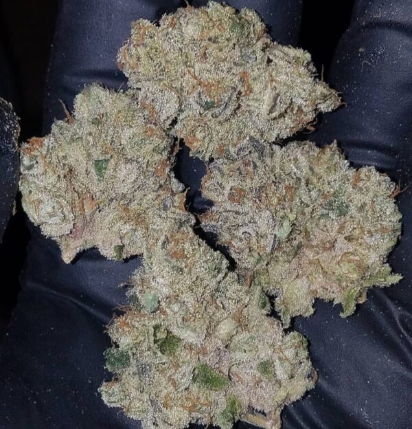 Do Si Dos Strain