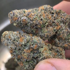 Grand Daddy Purple