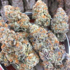 Jedi Kush Strain