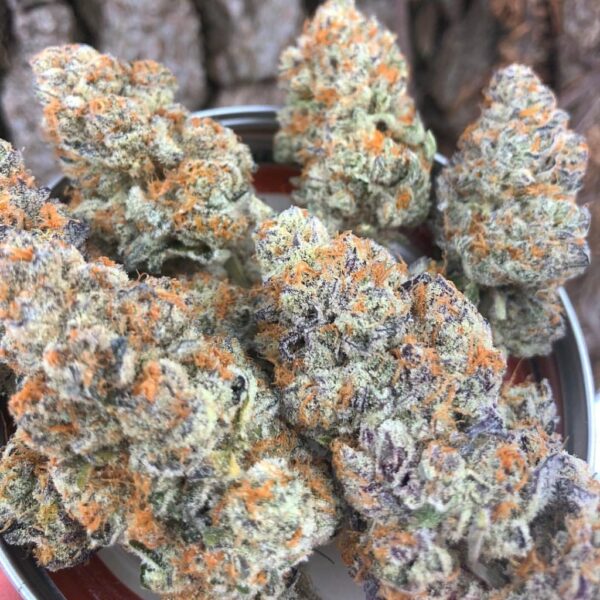 Jedi Kush Strain