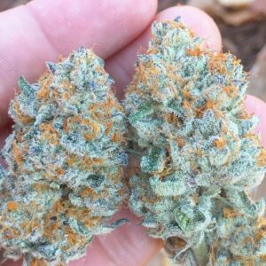 Candyland