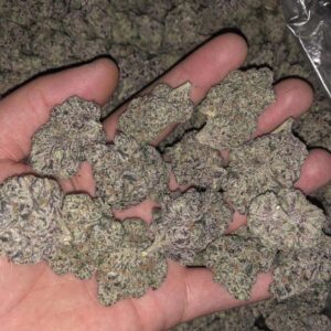 Raspberry Kush