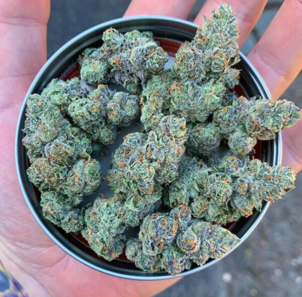 Grape Kush Strain