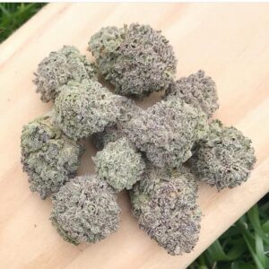 White Rhino