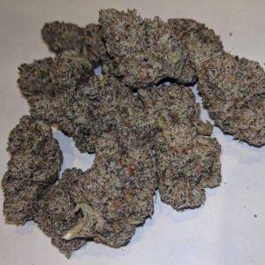 Dutch Treat Strain