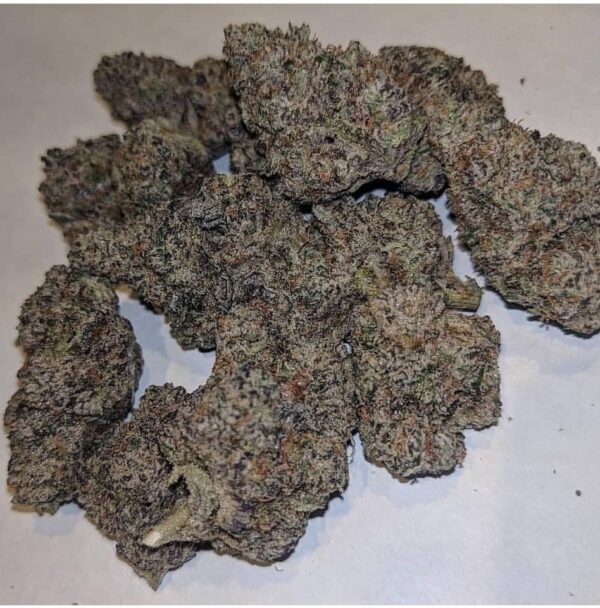 Dutch Treat Strain
