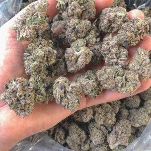Cannalope Haze