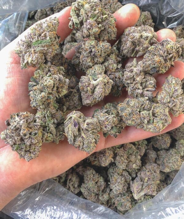 Cannalope Haze