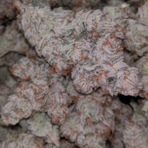 Pink Runtz Strain