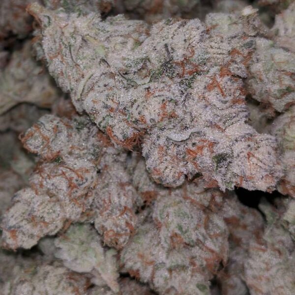 Pink Runtz Strain