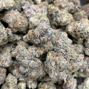 White Cherry Gelato