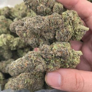 Alien OG Strain