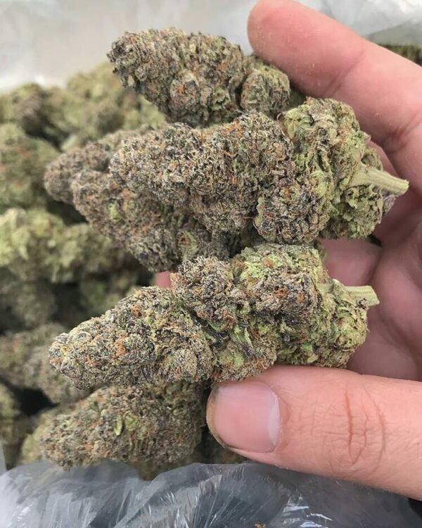 Alien OG Strain