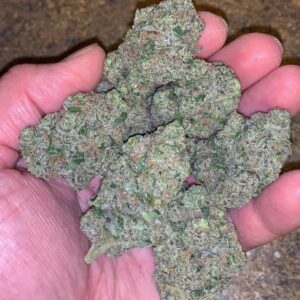 Gorilla Glue Strain
