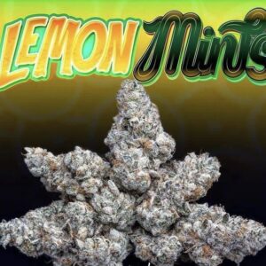 Lemon Mints Strain