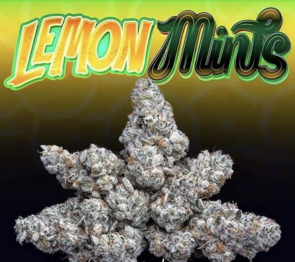 Lemon Mints Strain