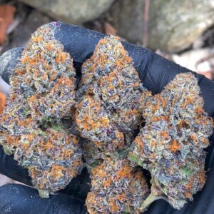 Purple Wreck Strain