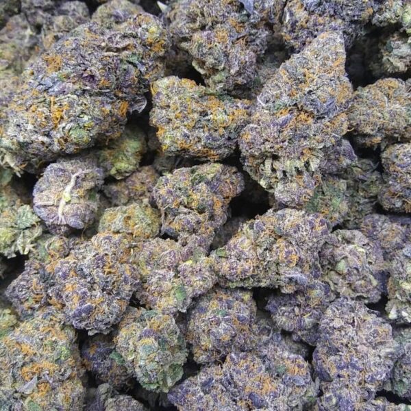 Skunk Berry