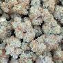 Chem Valley Kush Strain
