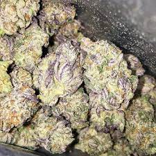 Crystal coma Strain