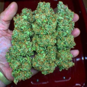 Green Sensation