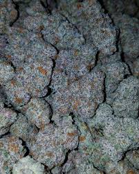 Super Silver Haze Strain