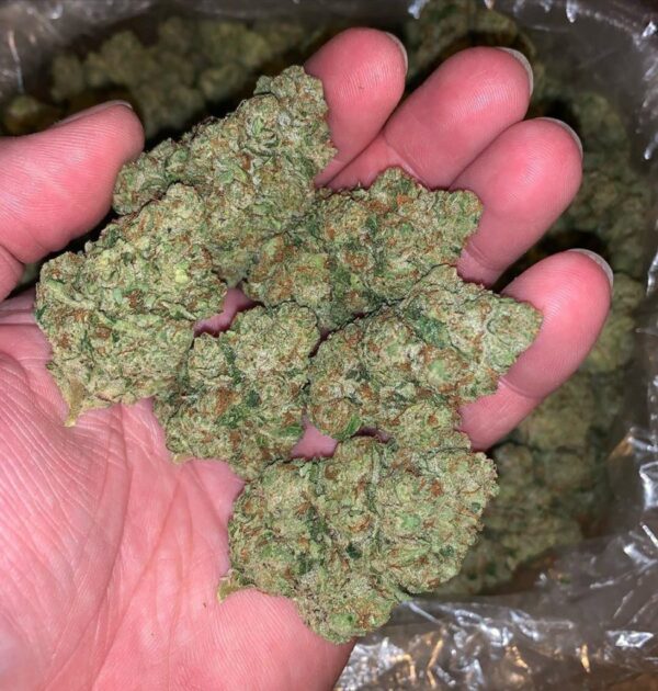 Buy Zkittlez Online