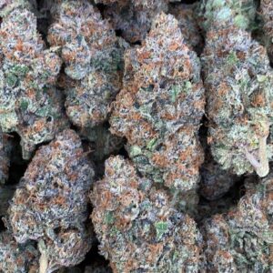Italian Ice strain