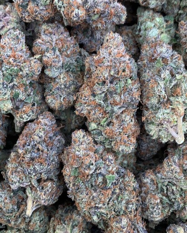 Italian Ice strain