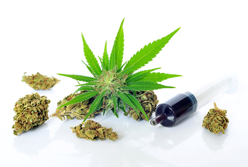 Medical marijuana and hash oil on white background